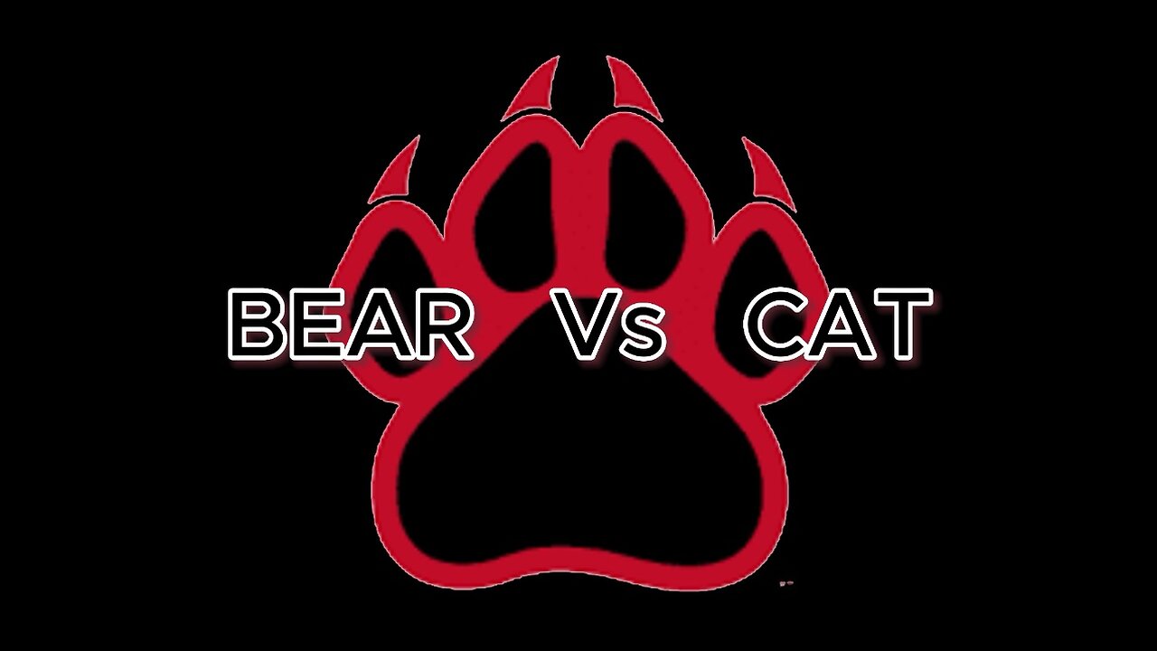 BEAR VS CAT (DON'T FIGHT WITH ME)!!!