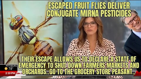 Not Just Mosquitoes..Fruit flies too!🪄🪰🧬