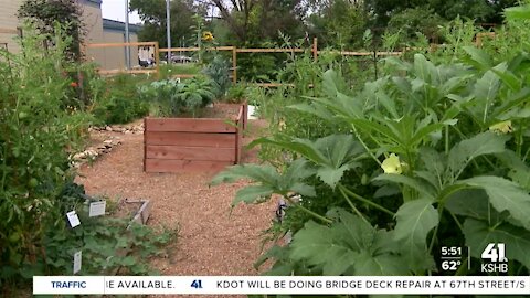 Harvesters promotes gardening, healthy lifestyle