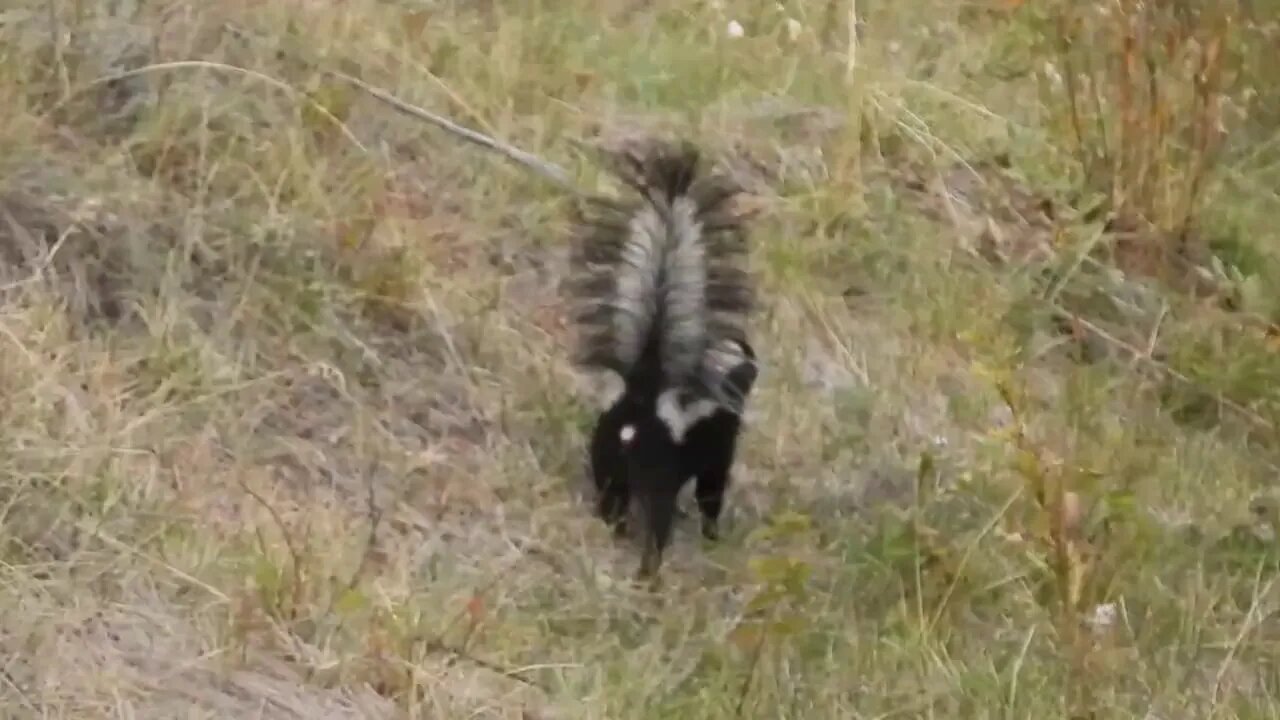 My View Of The Climate Crisis