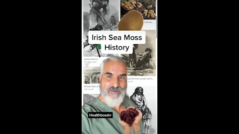 History of Irish Sea Moss : Superfood