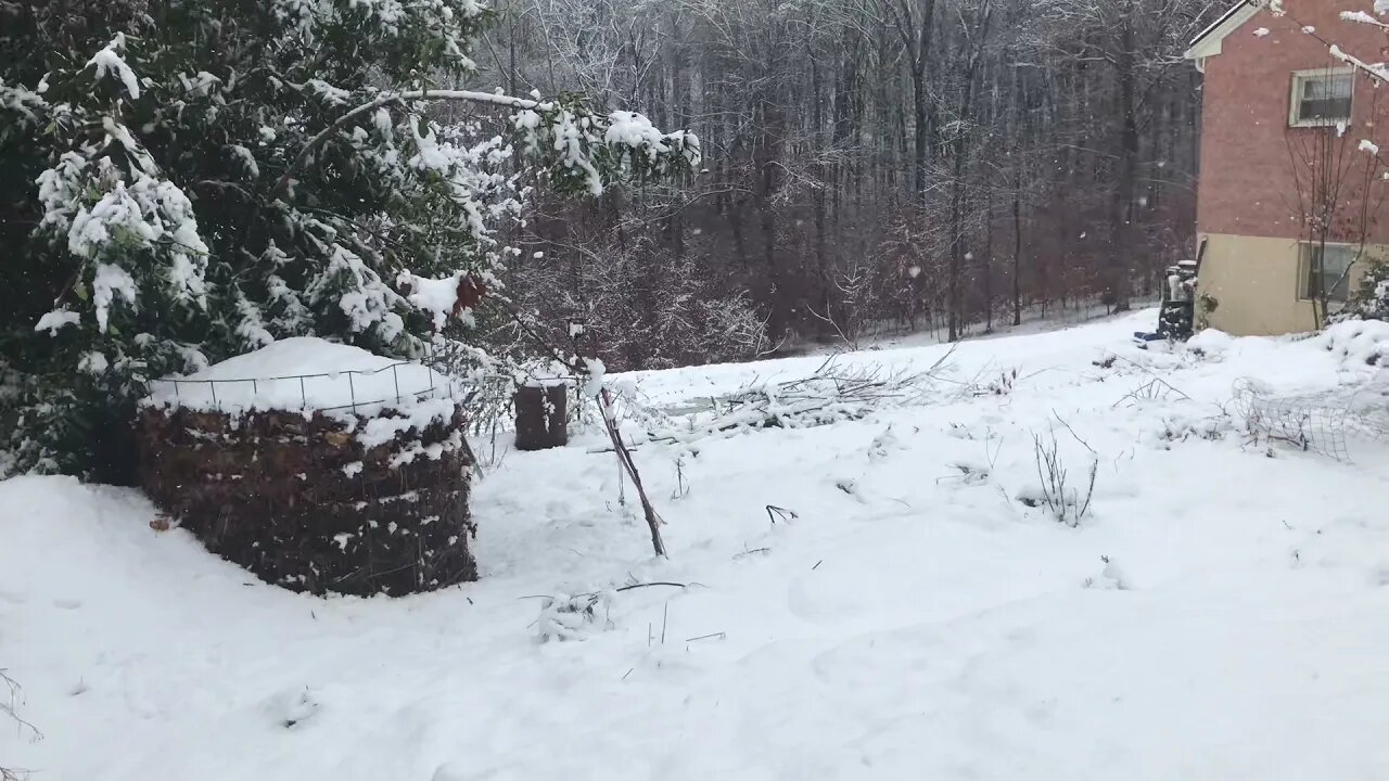 Snow Makes Gardening Easier in a Temperate Climate