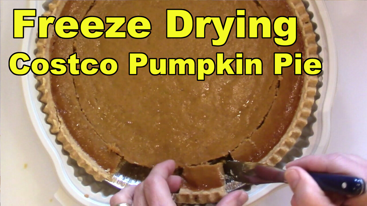 Freeze Drying Costco Pumpkin Pie