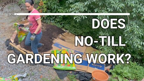 No Till Flower Bed - how did it turn out?? Plus - best app for plant identification: Picture This