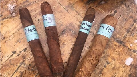 Dominican Ligero Tasting Notes - Olor and Criollo