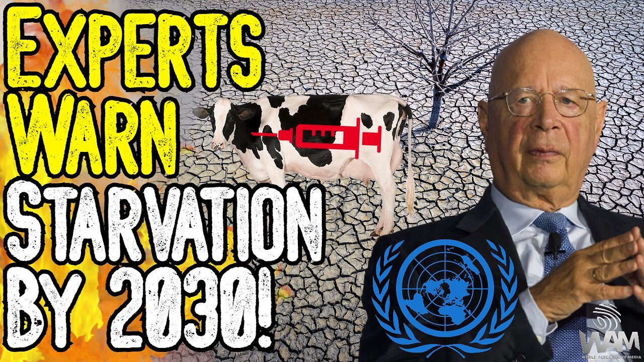 HUGE! EXPERTS WARN STARVATION BY 2030! - Panic Buying & Poison Food Incoming!