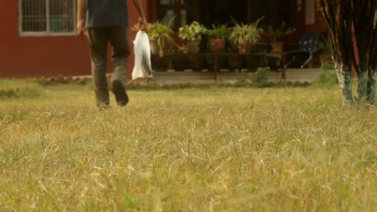 Andar Sozinho Andando Casa Voltando Família