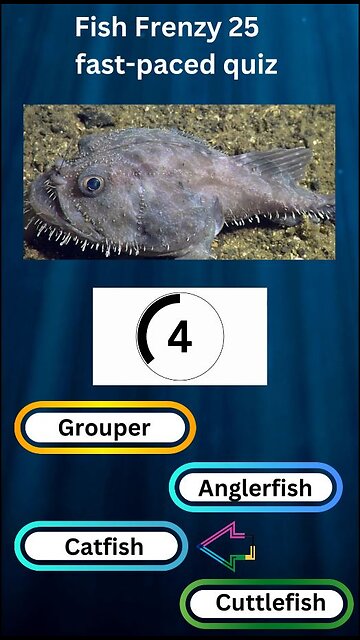 Fish Frenzy 25 A fast-paced quiz