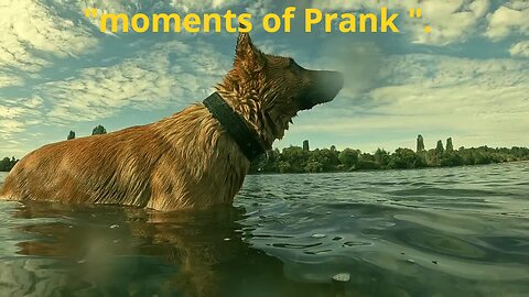 Prank moments