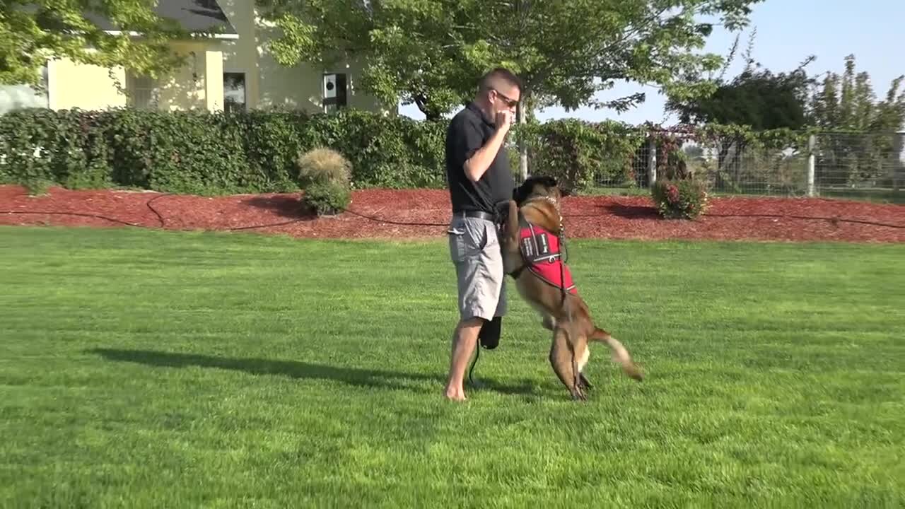 Service dog helps disabled law enforcement retiree after suicide scare