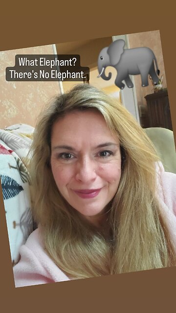 What Elephant? There's No Elephant.