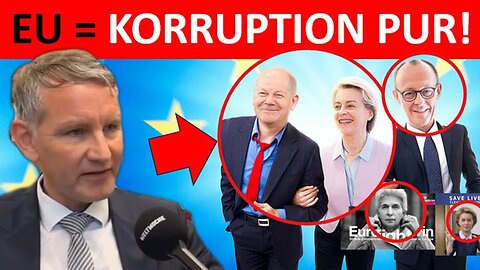 💥KORRUPTION PUR🤮💥 HÖCKE äußert sich zur EU, NATO und MISERABLEN AUßENPOLITIK