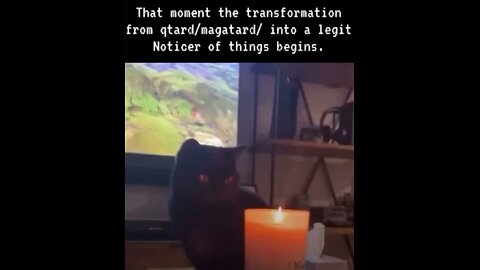 That moment of transformation from qtard to legitimate Noticer of things begins. 😎