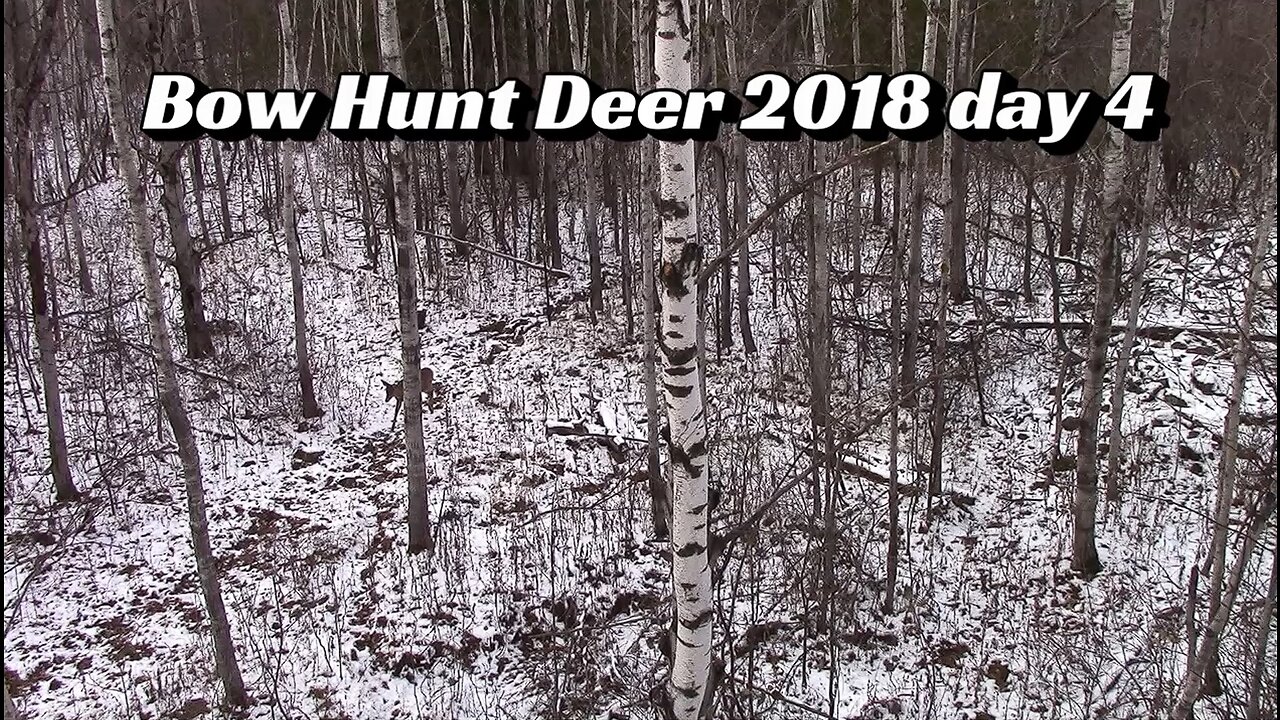 Bow Hunt Deer 2018 day 4