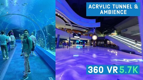 Georgia Aquarium Ambience & Acrylic Tunnel || Episode - 11 || 360 VR Video