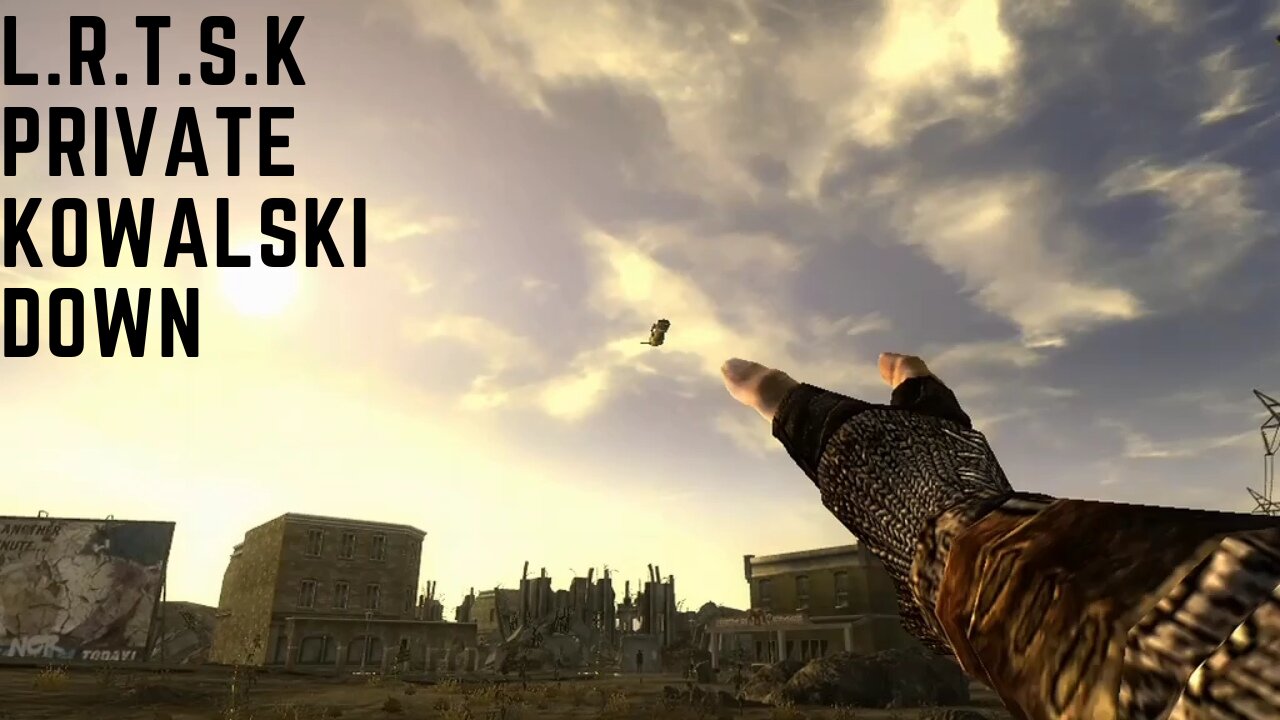L.R.T.S.K Private Kowalski Down