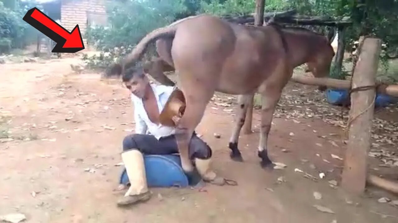 OLHA O QUE ESSE HOMEM CONSEGUIU FAZER! 😱, MONTANDO NO BURRO XUCRO VAQUEIRO PO