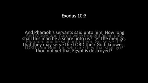 Exodus Chapter 10