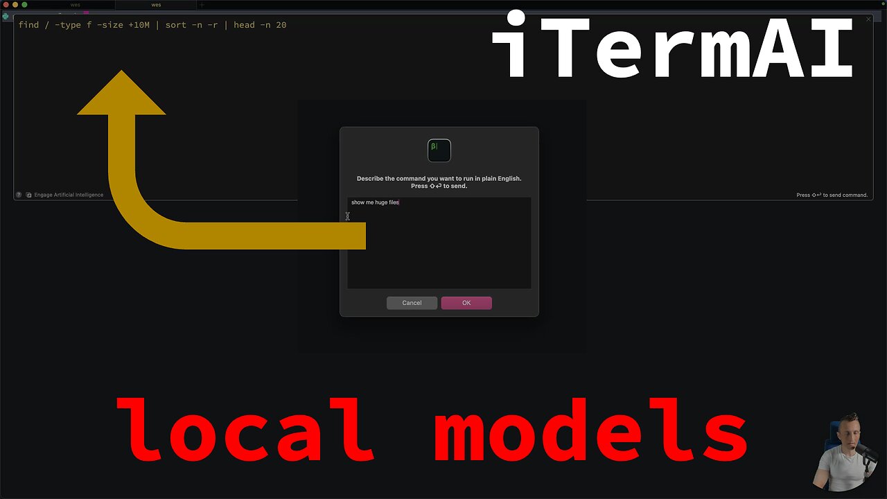 iterm2 3.5.1beta2 - using a local model for AI features