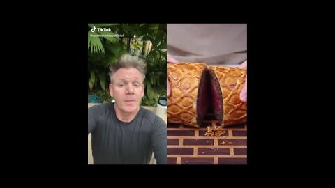 Gordon Ramsey Positive TikTok Review