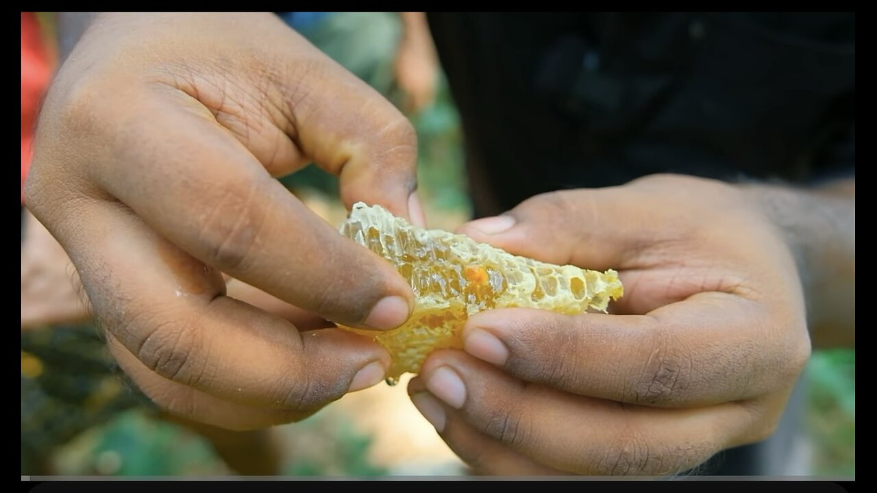 Honeybee how to remove honey
