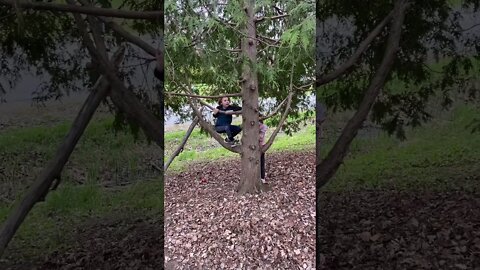 AnnaTommy up a Tree