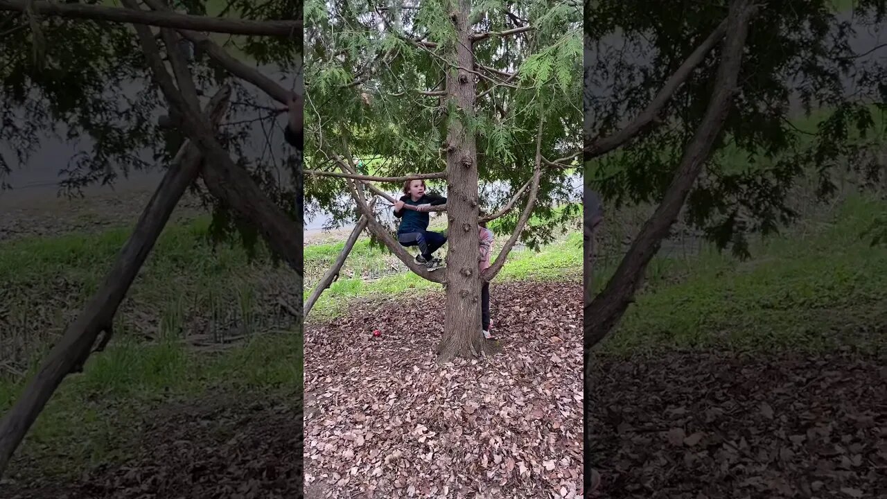 AnnaTommy up a Tree