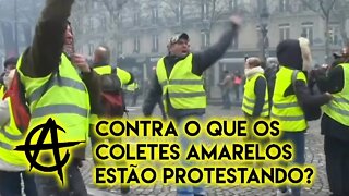 Uma teoria sobre Junho de 2013 ou Contra o que os Coletes Amarelos protestavam? | ANCAPSU Classic