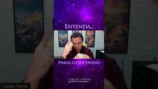 Pineal o Chip Divino