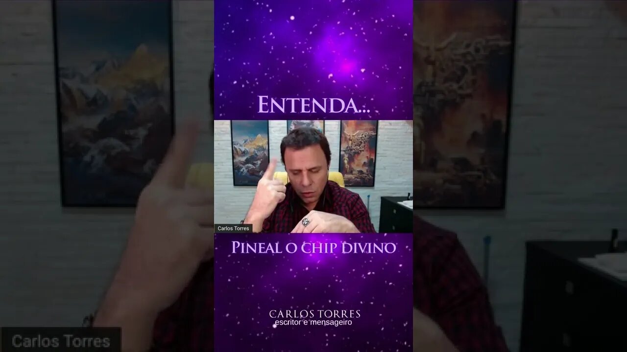 Pineal o Chip Divino