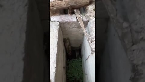 What is this pit?