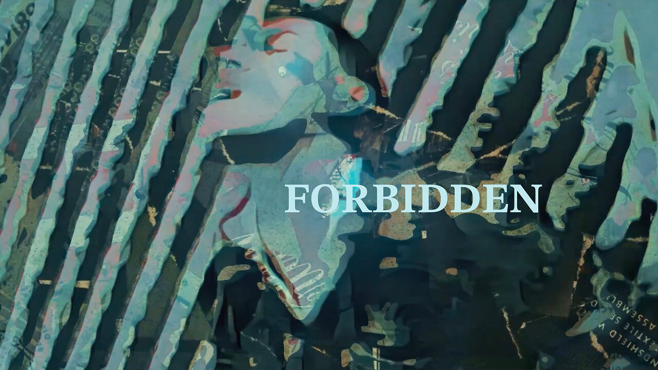 Forbidden (Original Version of the WE in 5D Tarot Theme Song) [Lyric Video] + Go Getter Single Radio Premiere (Teaser), and Forbidden Performed Live! – Michael | WE in 5D