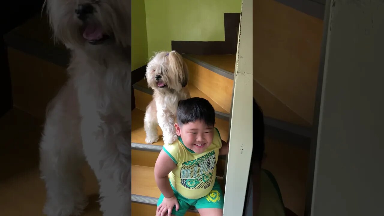 Goomie Sure Knows How To Pose