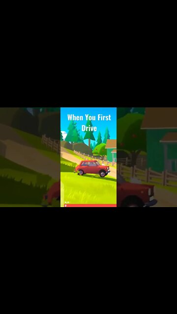 How to Get Cancelled by Insurance #shorts #hillsidedrive #insurance