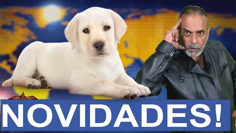 💥 LATINO, MADONA, RAUL GIL E BOLSONARO AS VOLTAS COM CÃO E COVID 19!