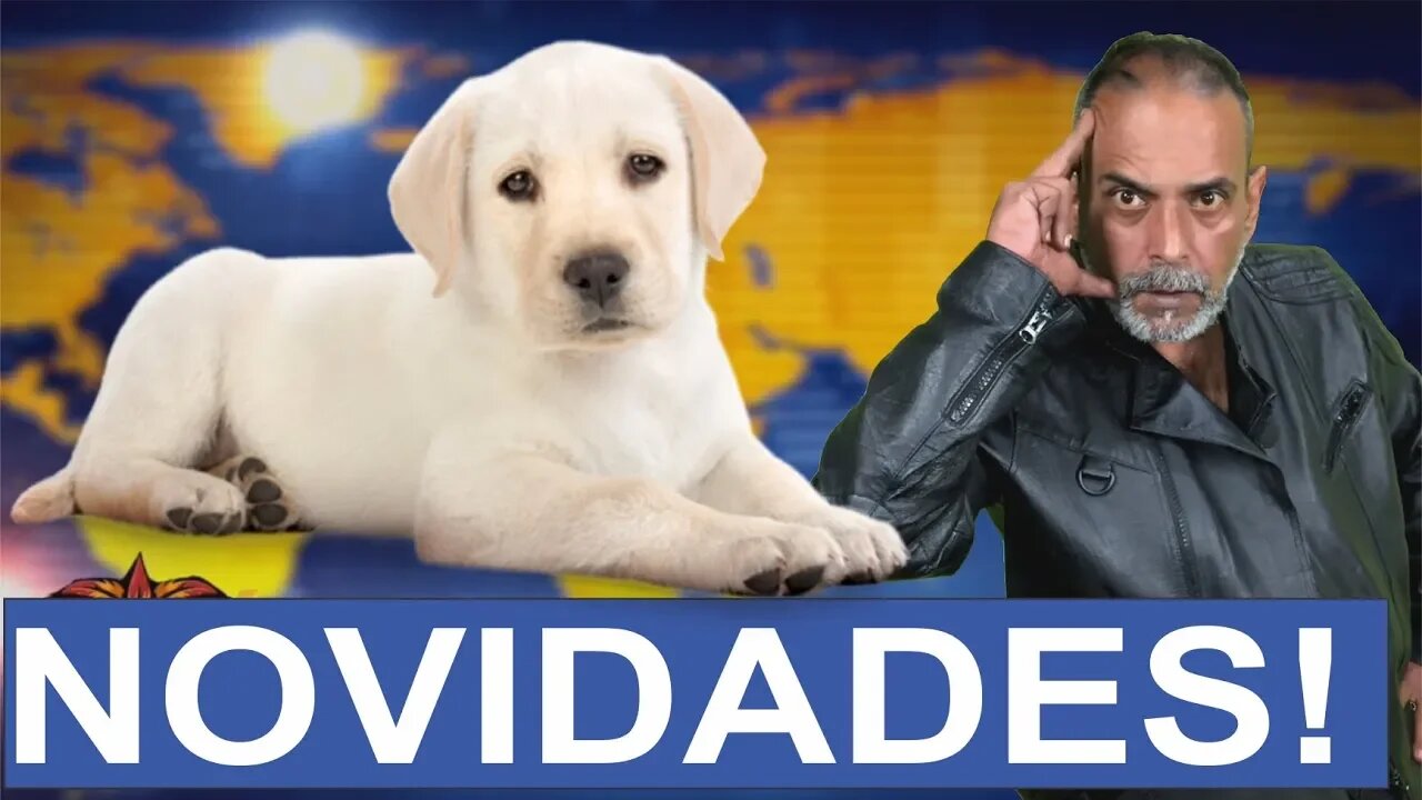 💥 LATINO, MADONA, RAUL GIL E BOLSONARO AS VOLTAS COM CÃO E COVID 19!