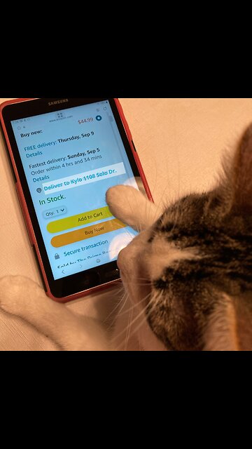 Bad habits book nerds have