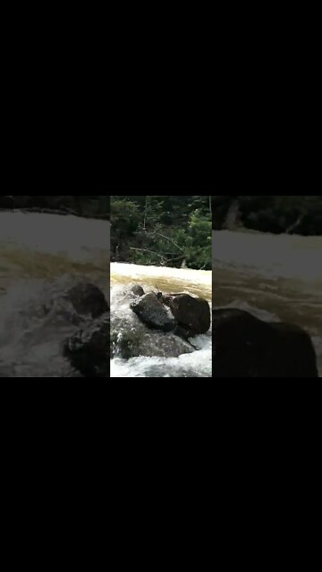 Livin' life on the river