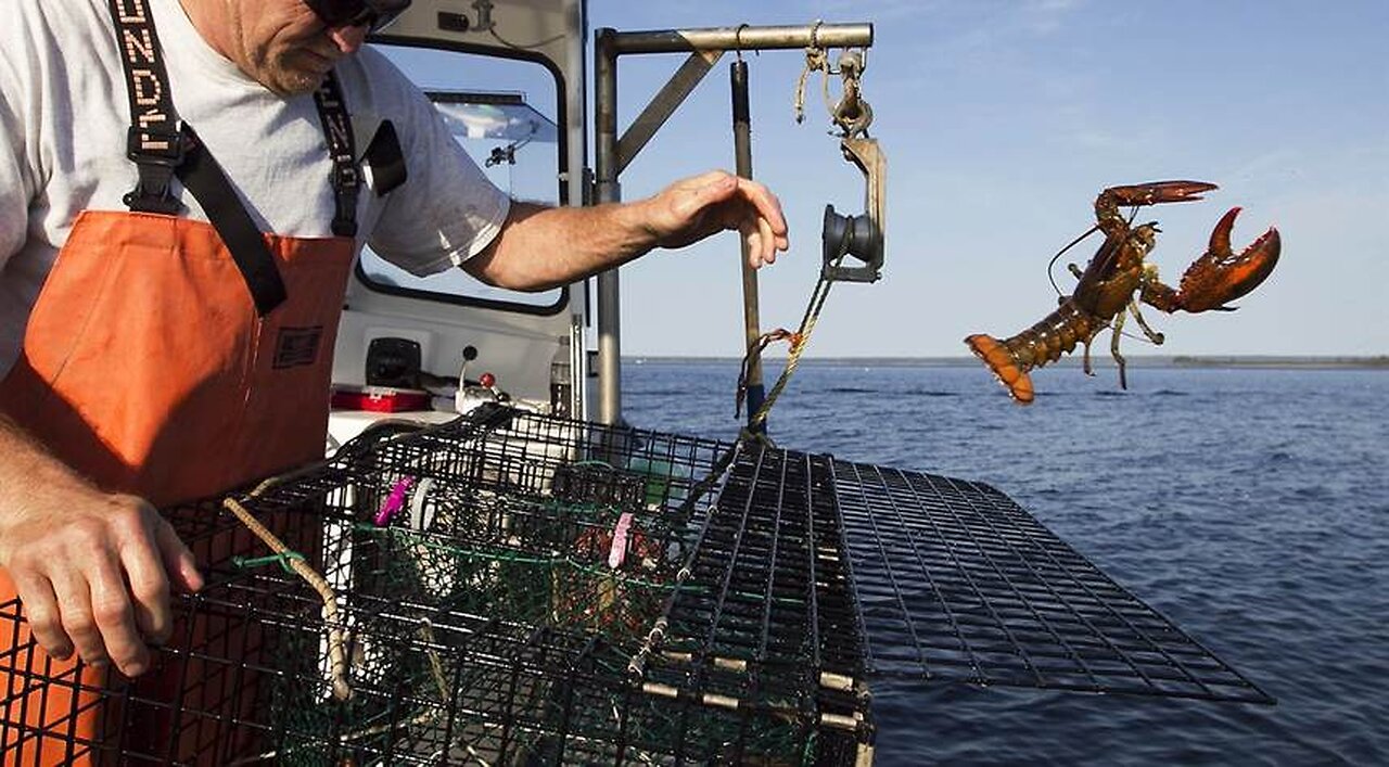 Maine Lobstermen Get a Big Win Over Biden; Admin's Hypocrisy Faces Big Questions and Investigation