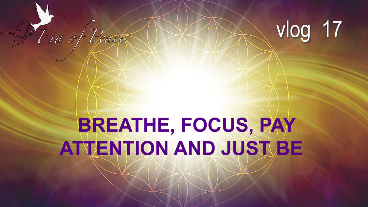 VLOG 17 - BREATHE, FOCUS, PAY ATTENTION AND JUST BE