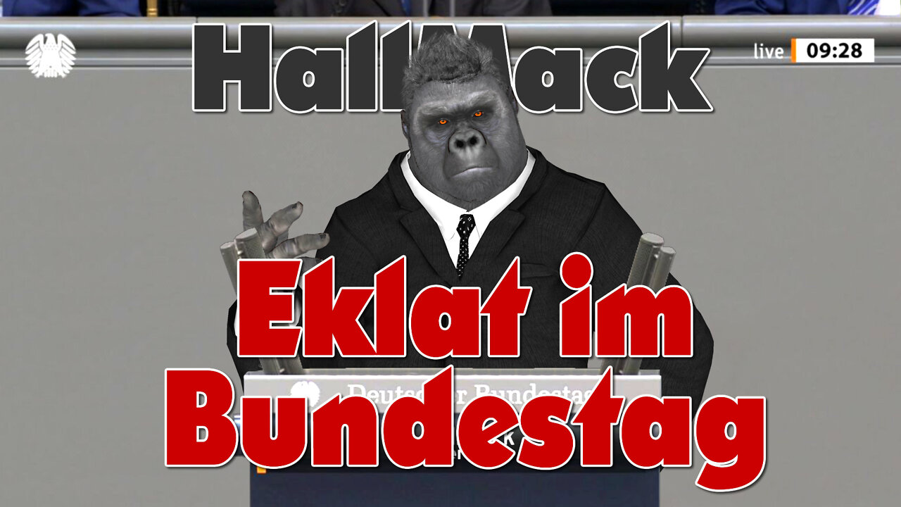 Eklat im Bundestag