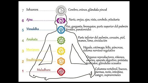 EL CAOS BLOQUEA LOS CHAKRAS CENTROS NERVIOSOS, DESPIERTA TU ESENCIA