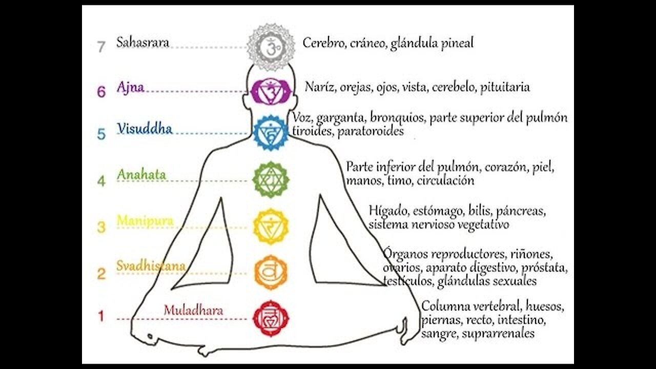 EL CAOS BLOQUEA LOS CHAKRAS CENTROS NERVIOSOS, DESPIERTA TU ESENCIA