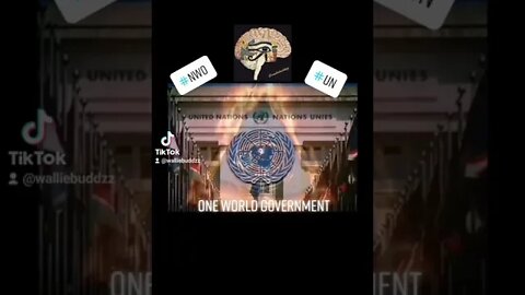 NWO