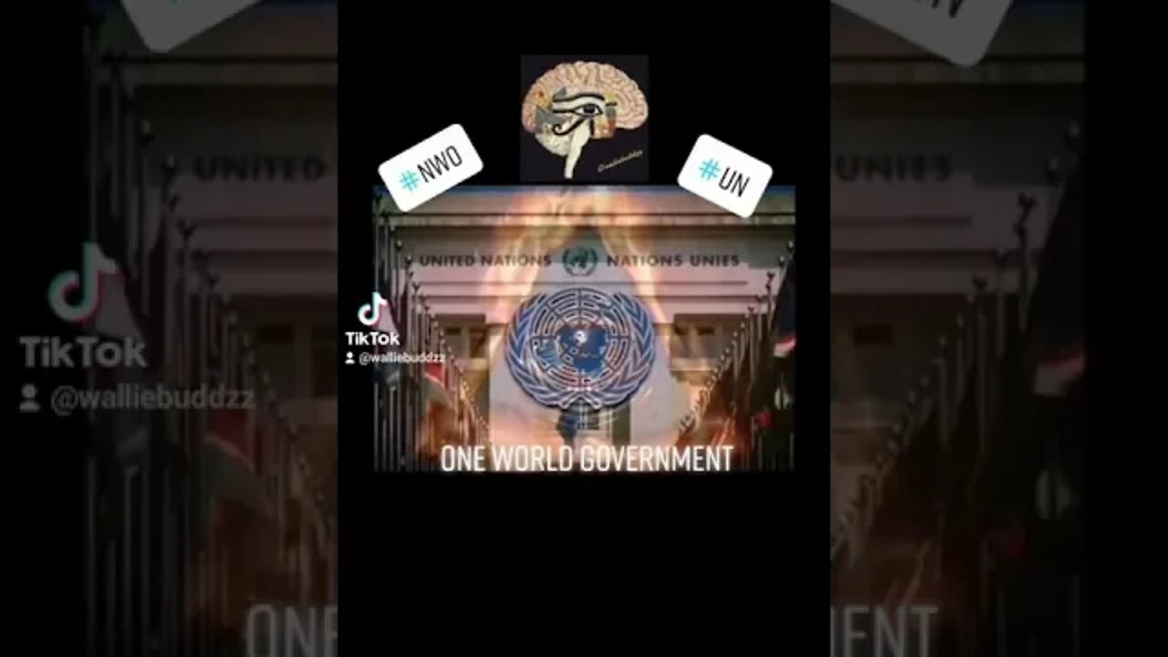 NWO