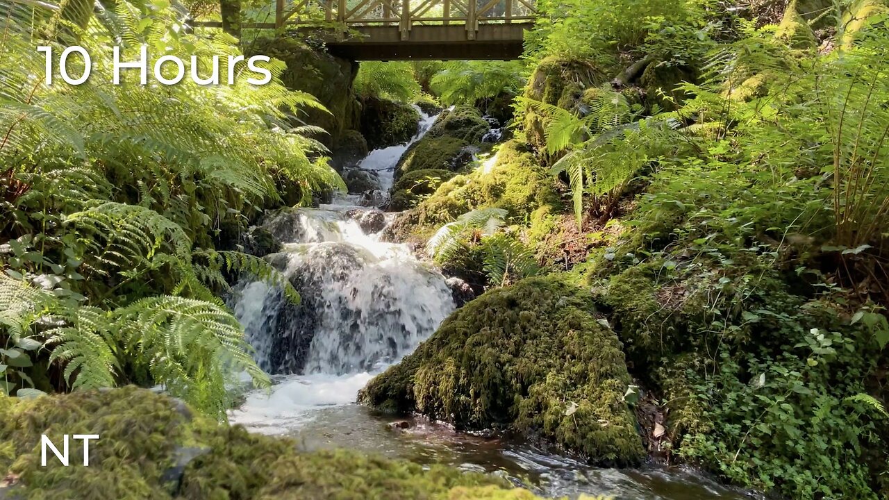 Flowing Stream & Gentle Waterfall Sounds for Sleep & Relaxation | Flowing Water Sounds: White Noise