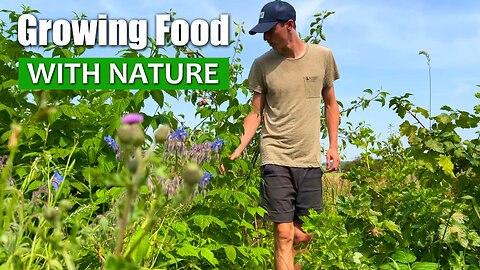 Avoid Falling For This Common Mistake When Growing Food
