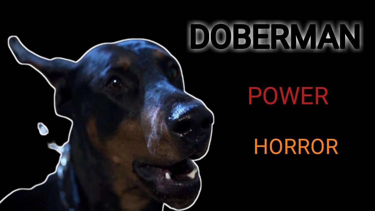 Doberman power horror movie