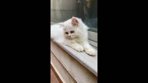 SubhanALLAH
