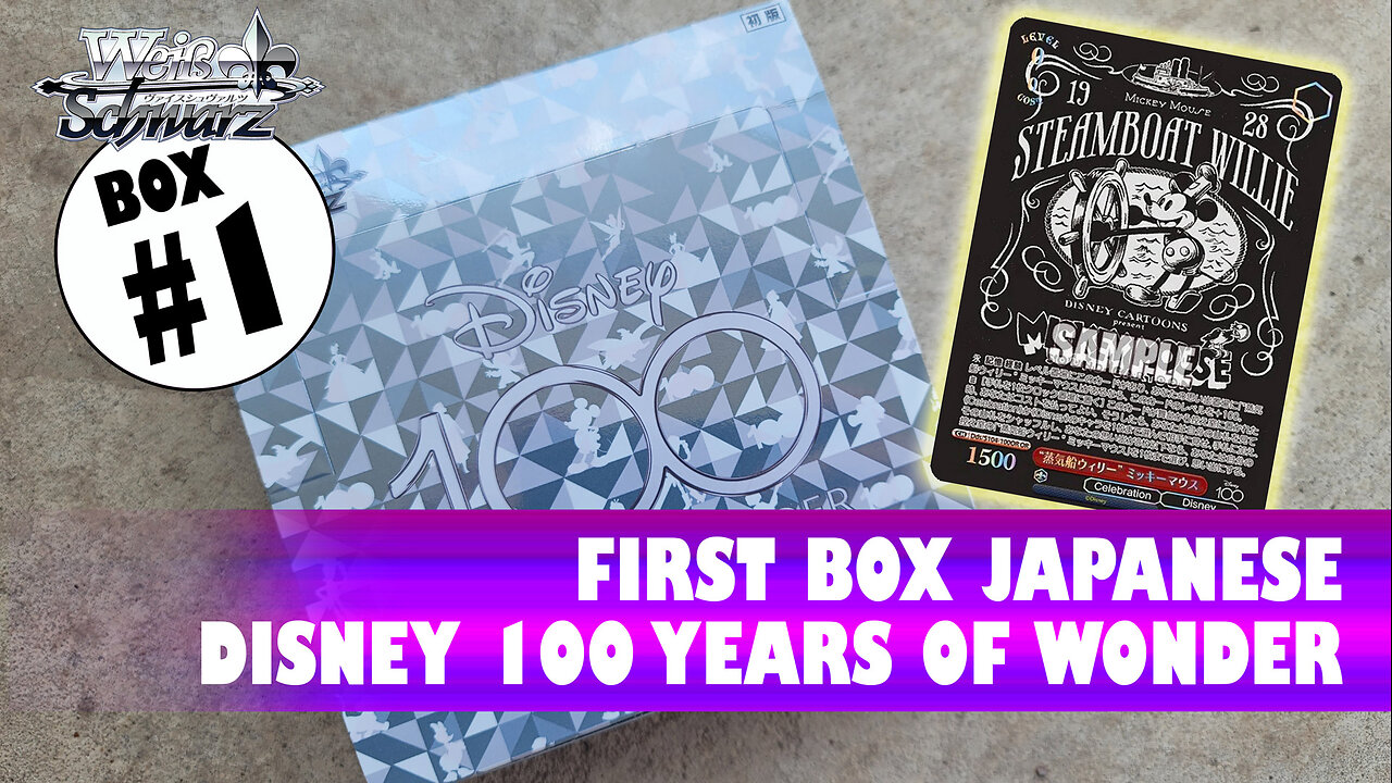 Fist Box of Disney Wise Schwarz 100 Years of Wonder